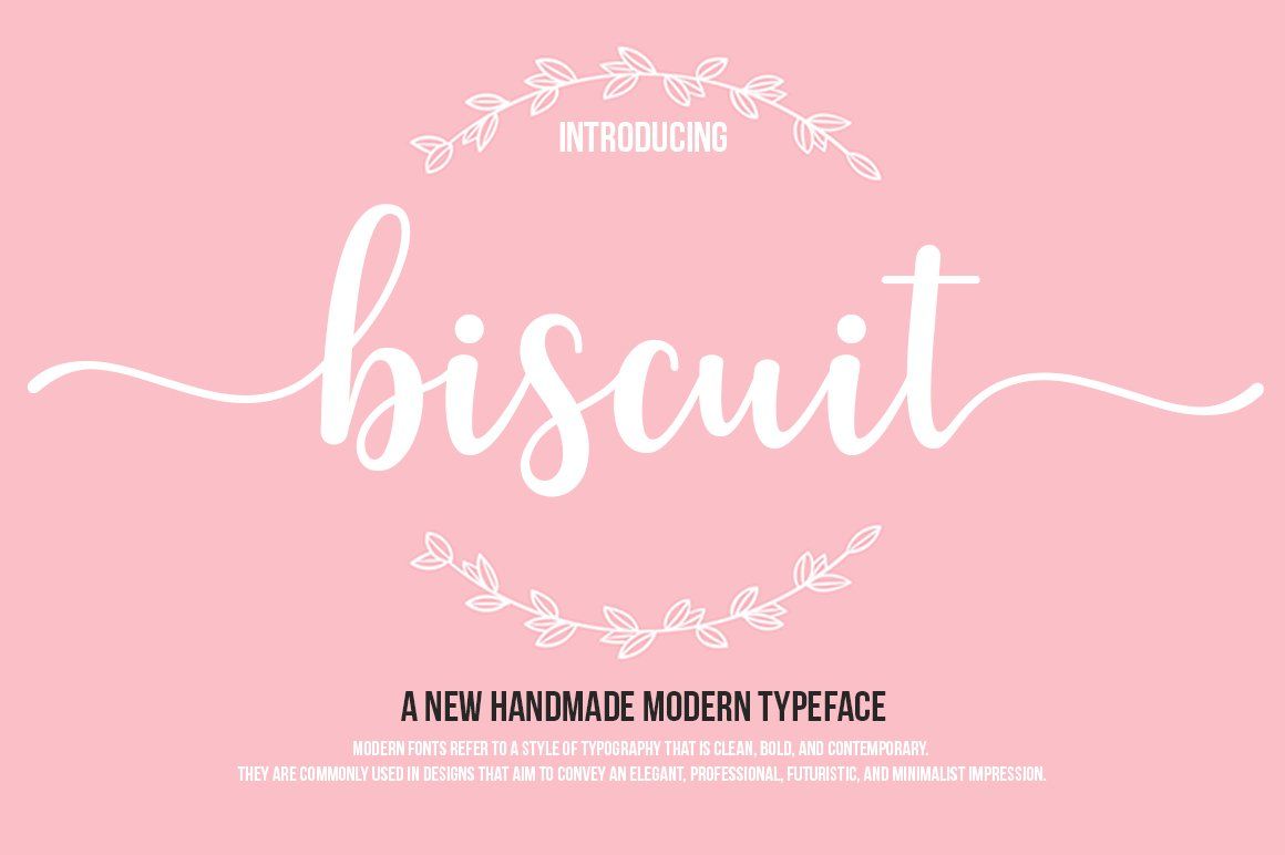 Super Special Beauty Lady Font Bundle — image 15