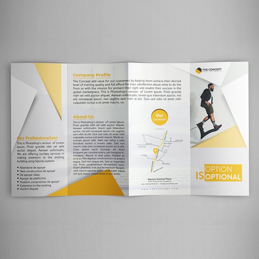 Double Gate fold Brochure — image 3