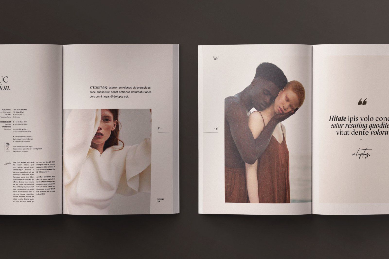 The Life Style Magazine Template — image 3