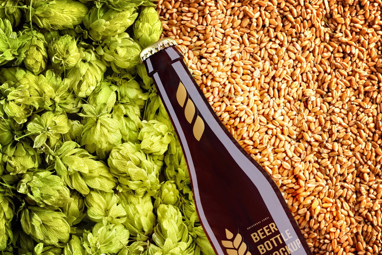10 Mockup of a Glass Beer Bottle — image 3
