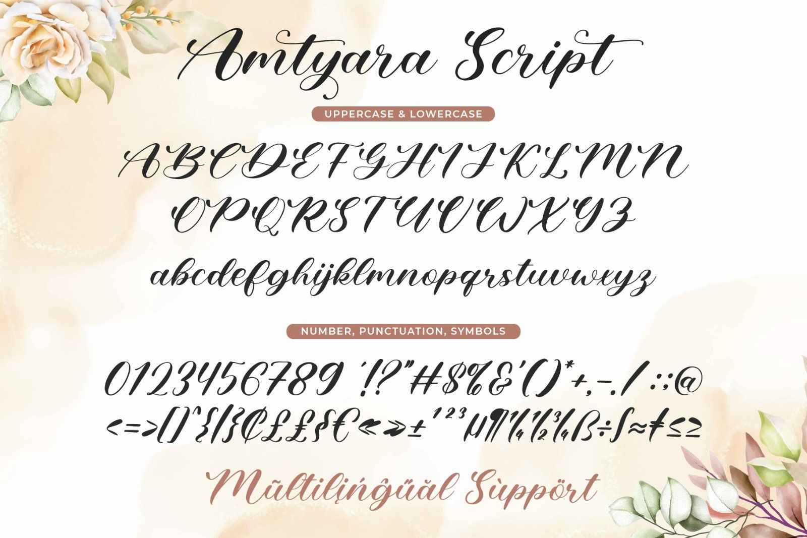 Amtyara Script — image 5