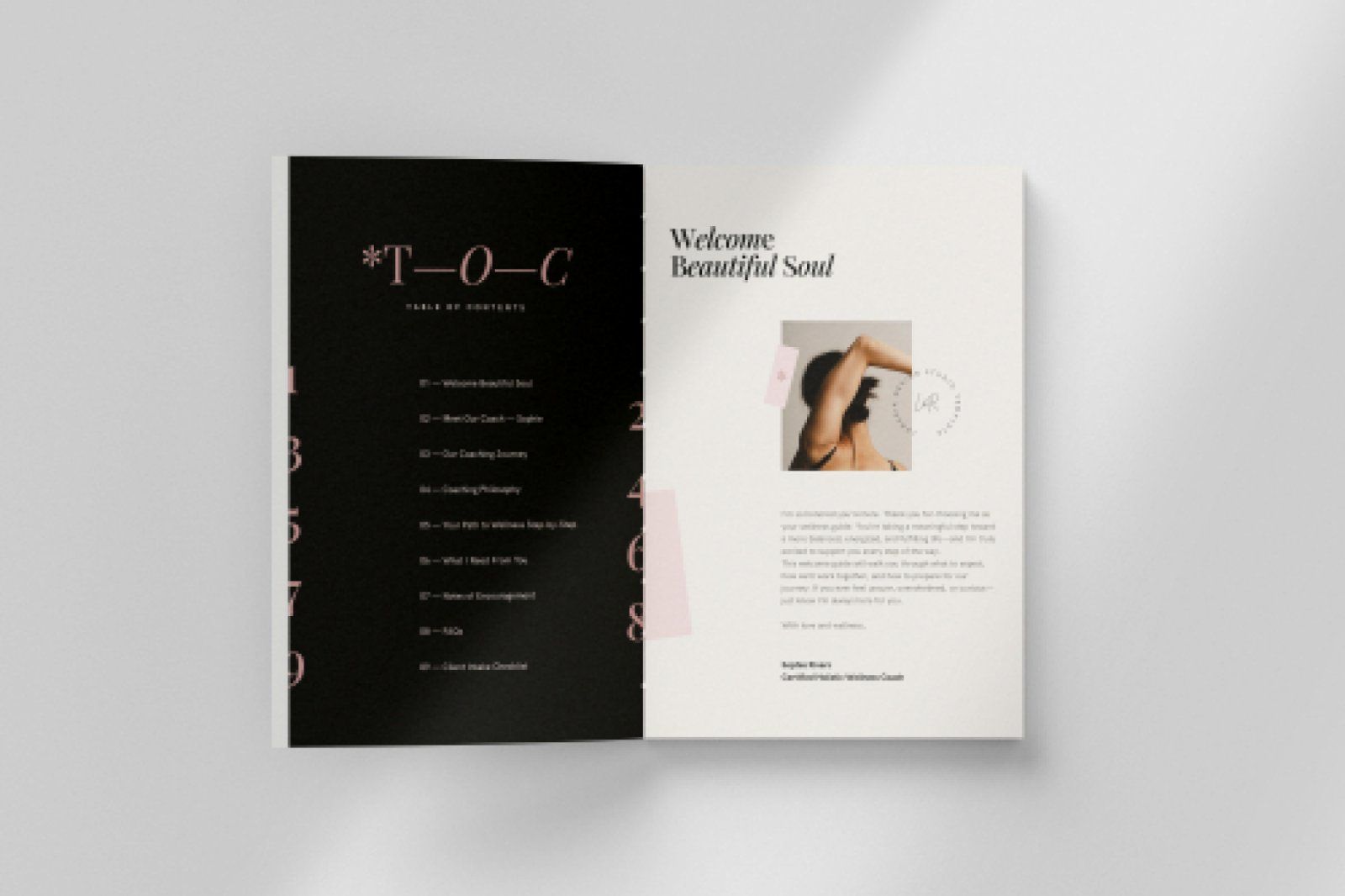 Client Welcome Packet Template — image 6