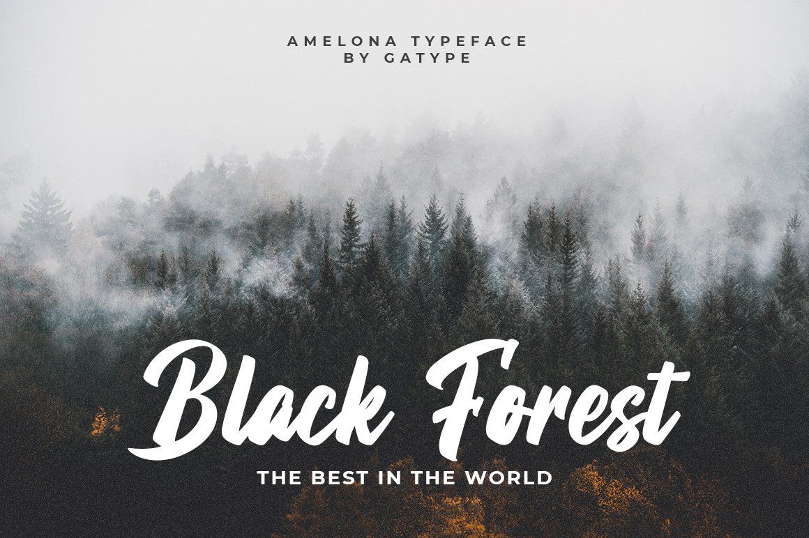 Amelona — image 6