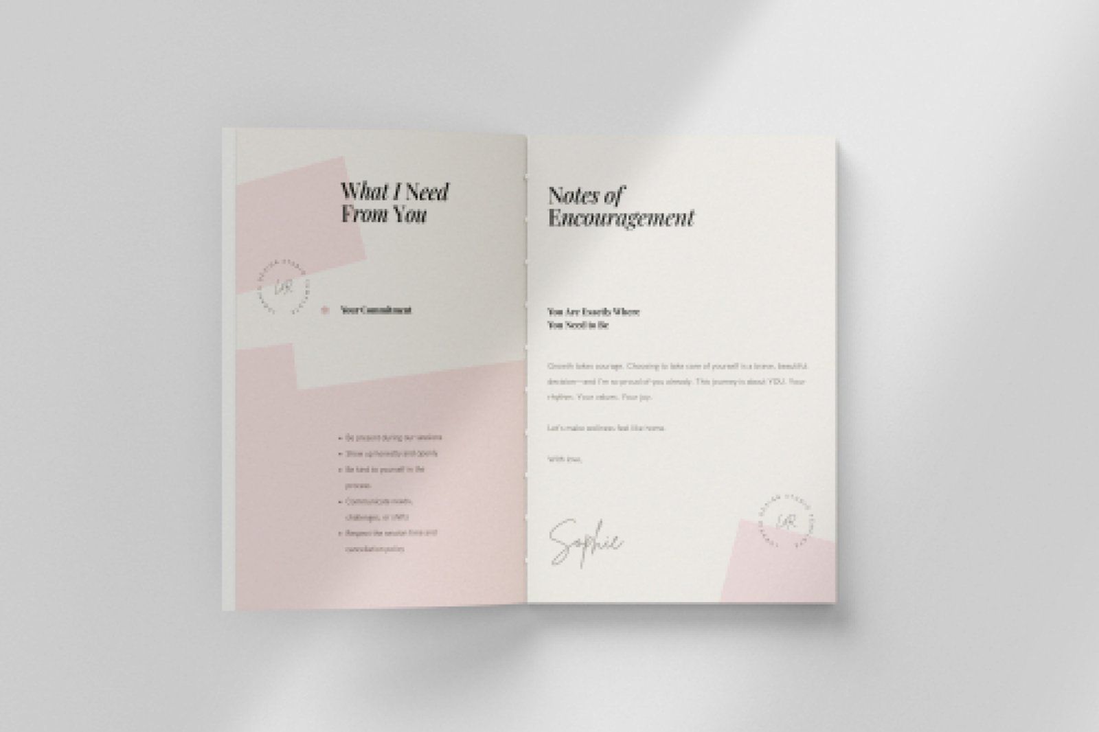 Client Welcome Packet Template — image 7