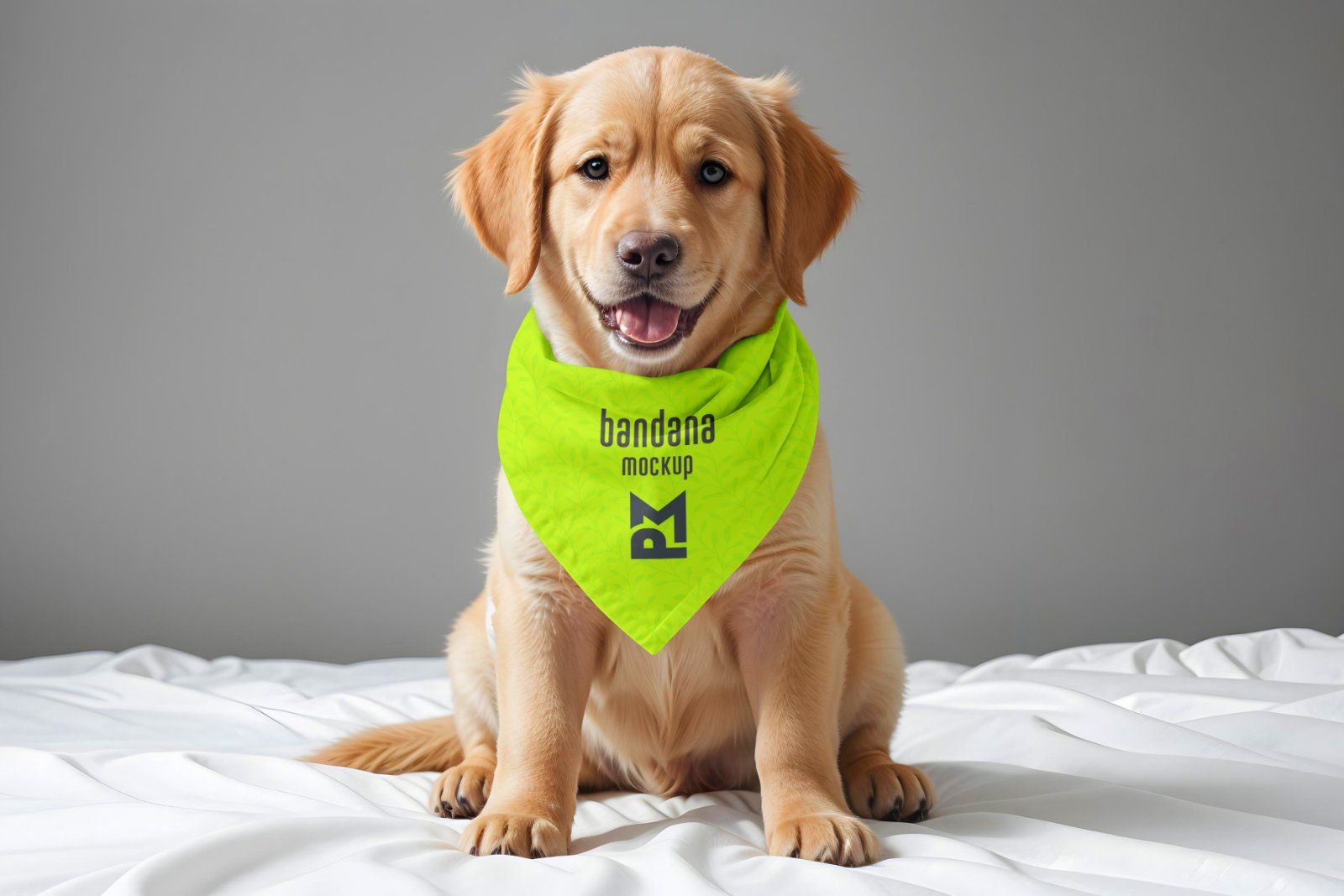 Cute Puppy Wearing a Bandana Mockup — image 1