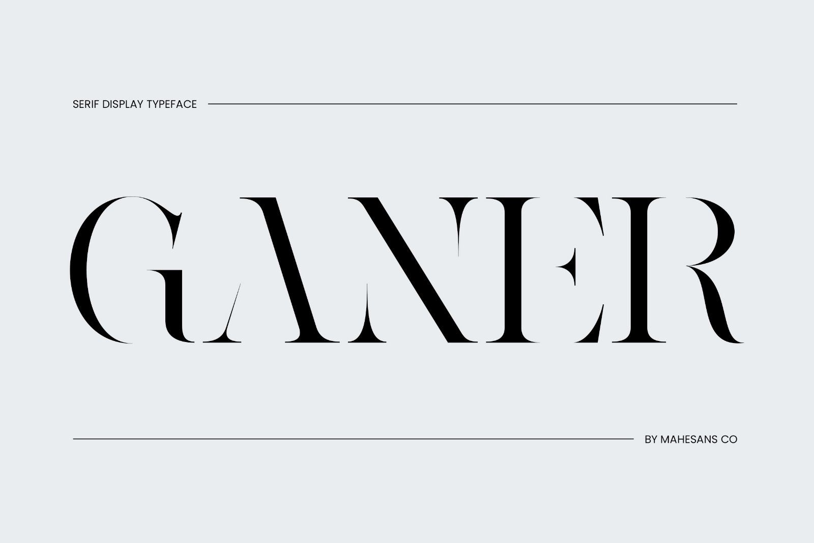 Ganer | Serif Display Font — image 1