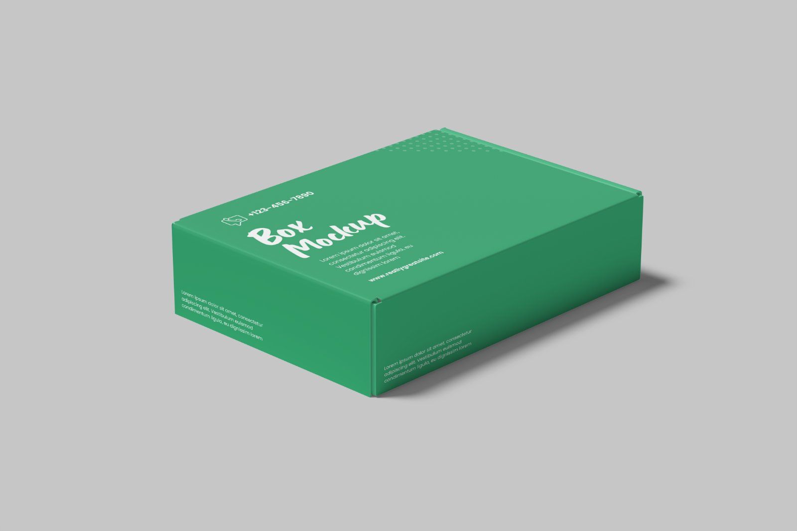 Mailer Box Mockup — image 1
