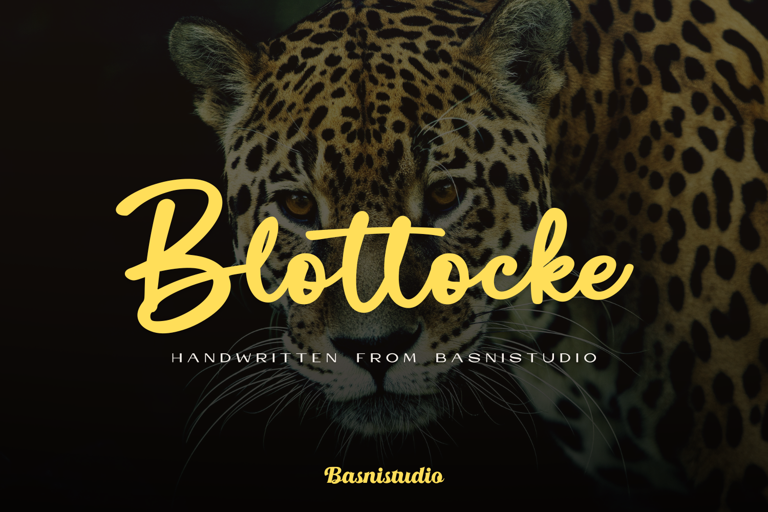 Blottocke Script Font — image 1