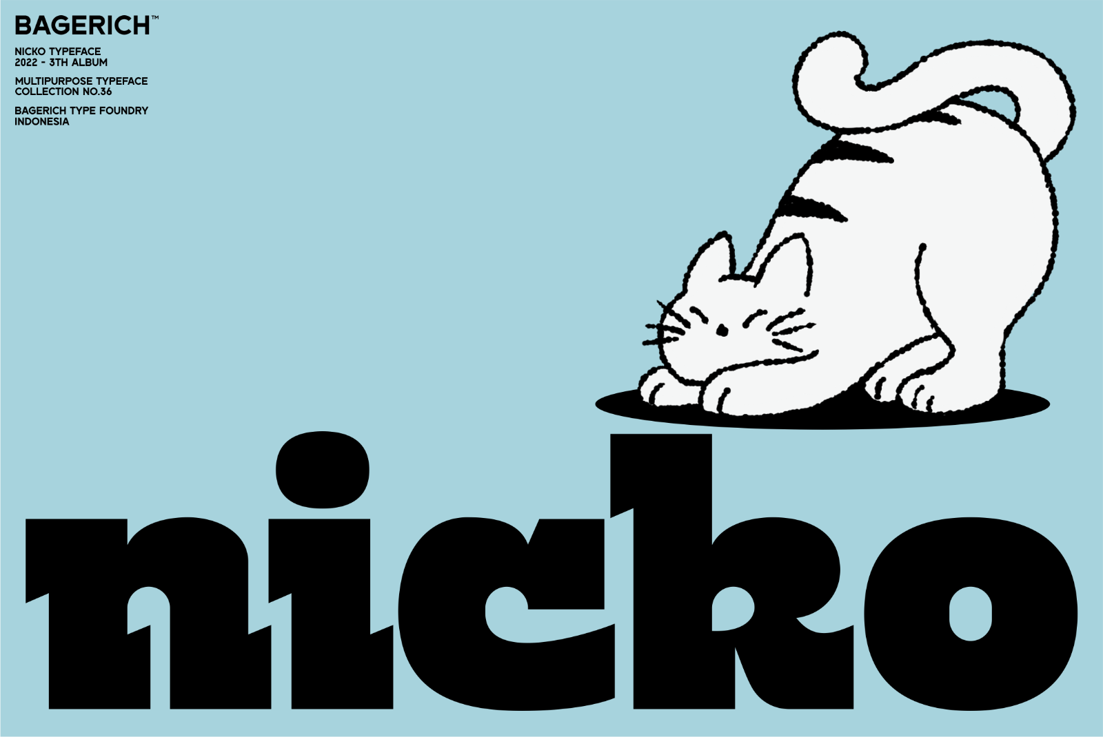 Nicko — image 1
