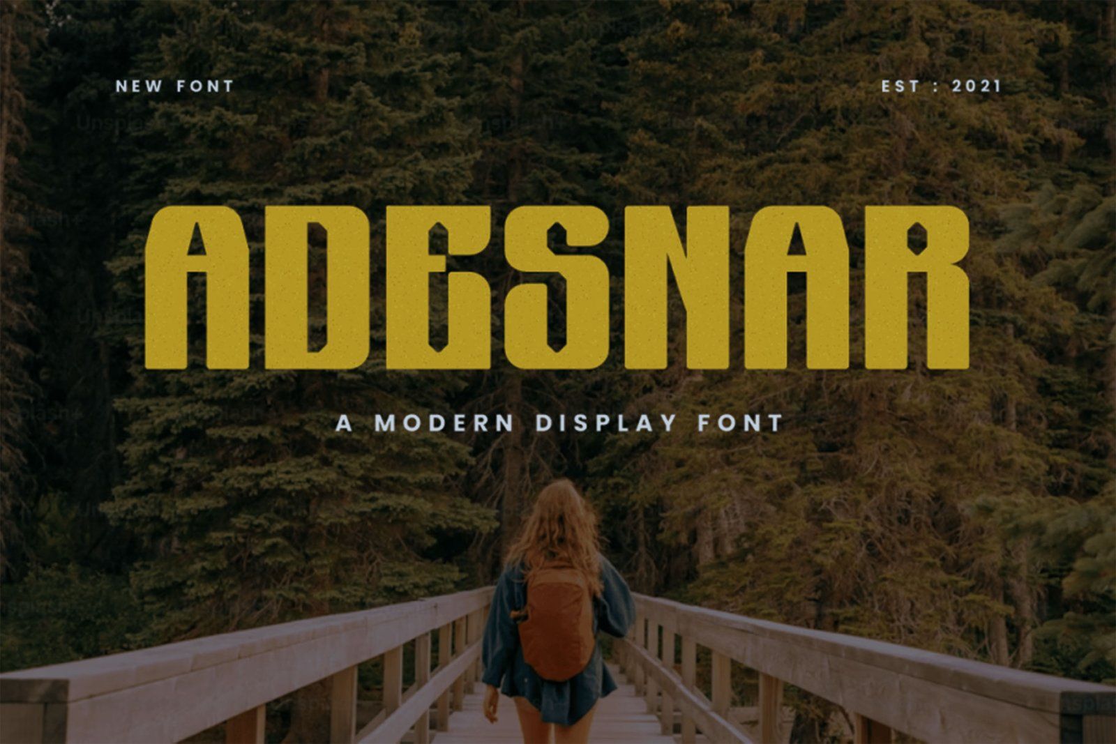 Adesnar display font free download — image 1