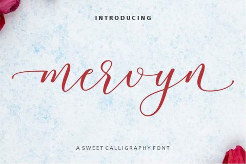 Mervyn