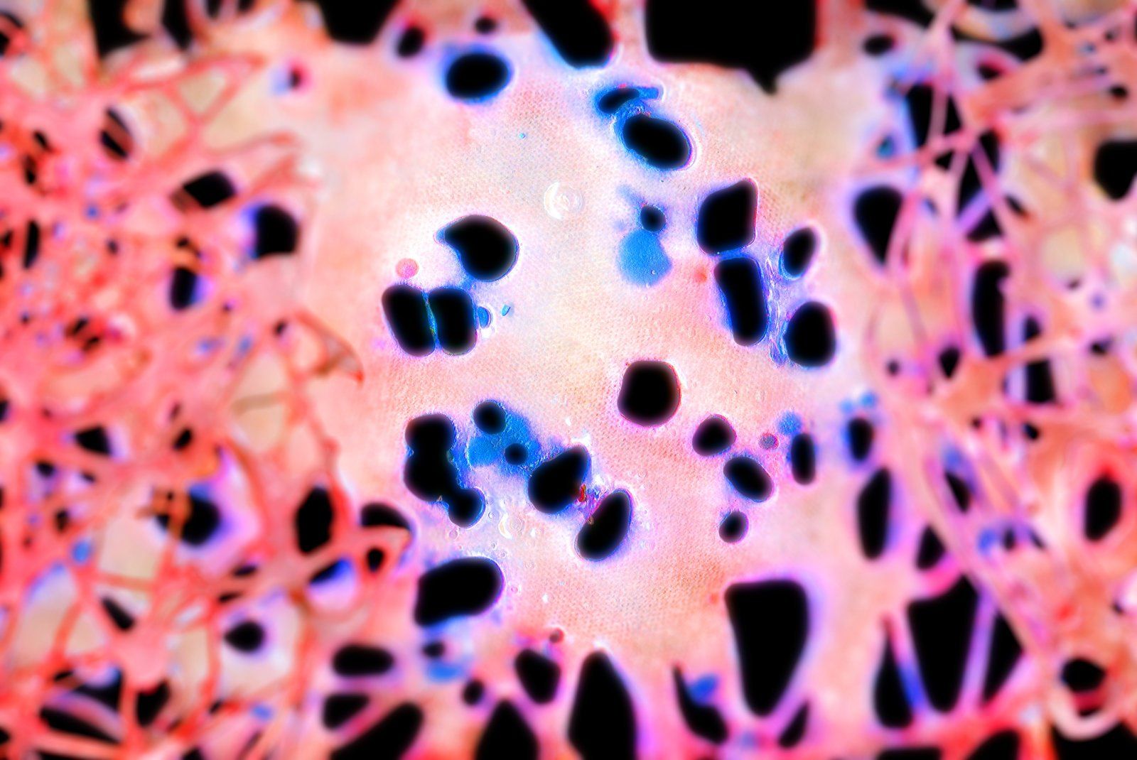 "Just fire and glue" elements — image 1