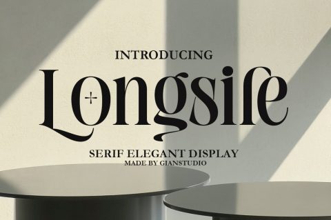 Longsile