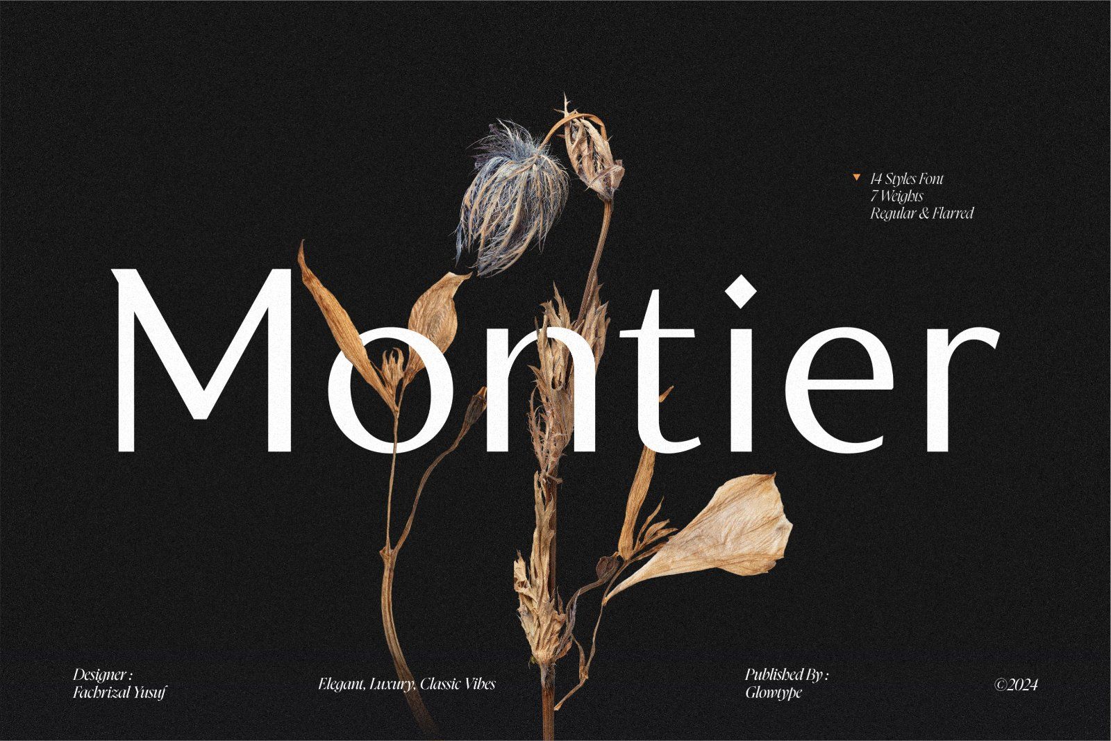 Montier Elegant Display — image 1