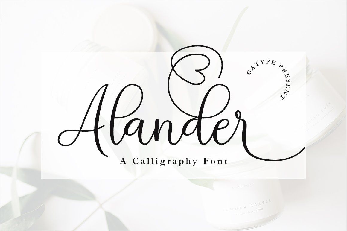 Alander script — image 1