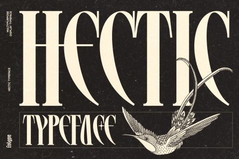 Hectic Font