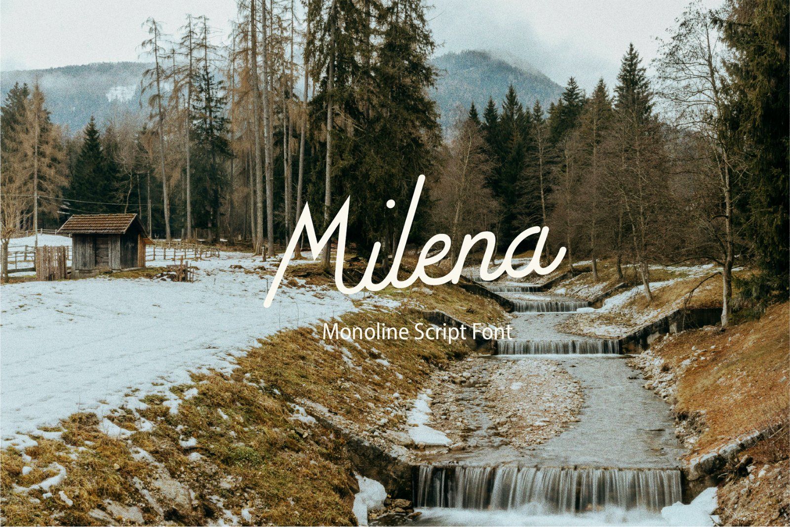 Milena — image 1