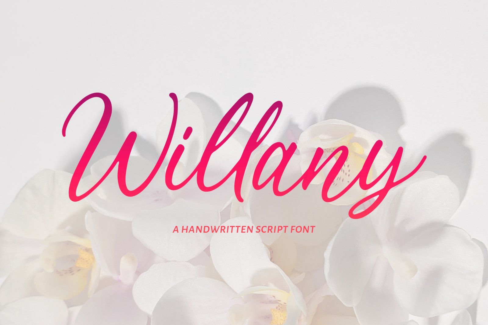 Willany - Handwritten Font — image 1