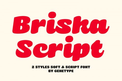 Briska – Soft Playful Script and Sans Font Duo
