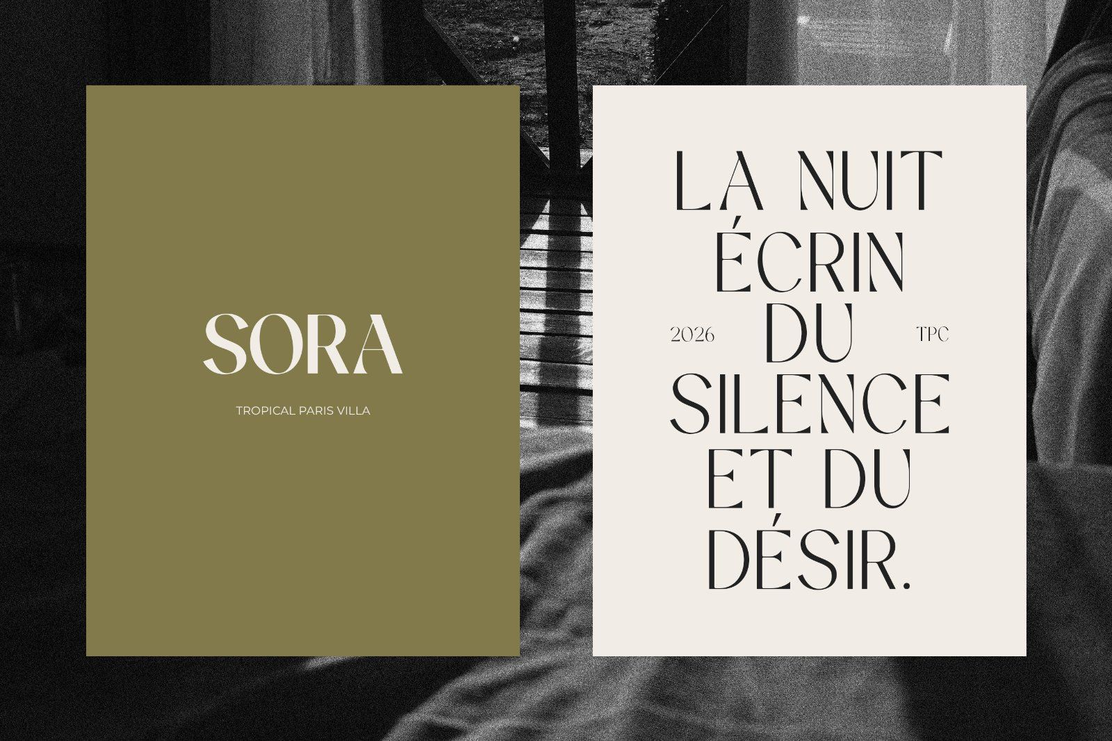 The Solveige Atelier Font Family — image 2