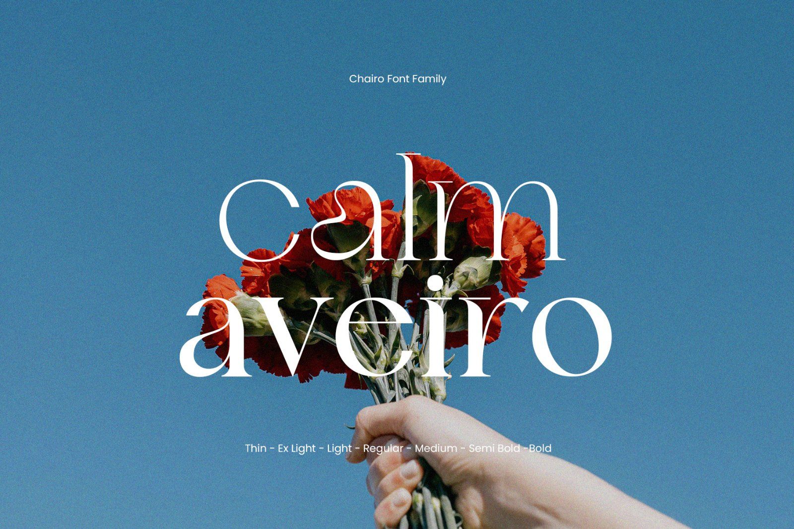Chairo | Editorial Serif Font Family — image 3