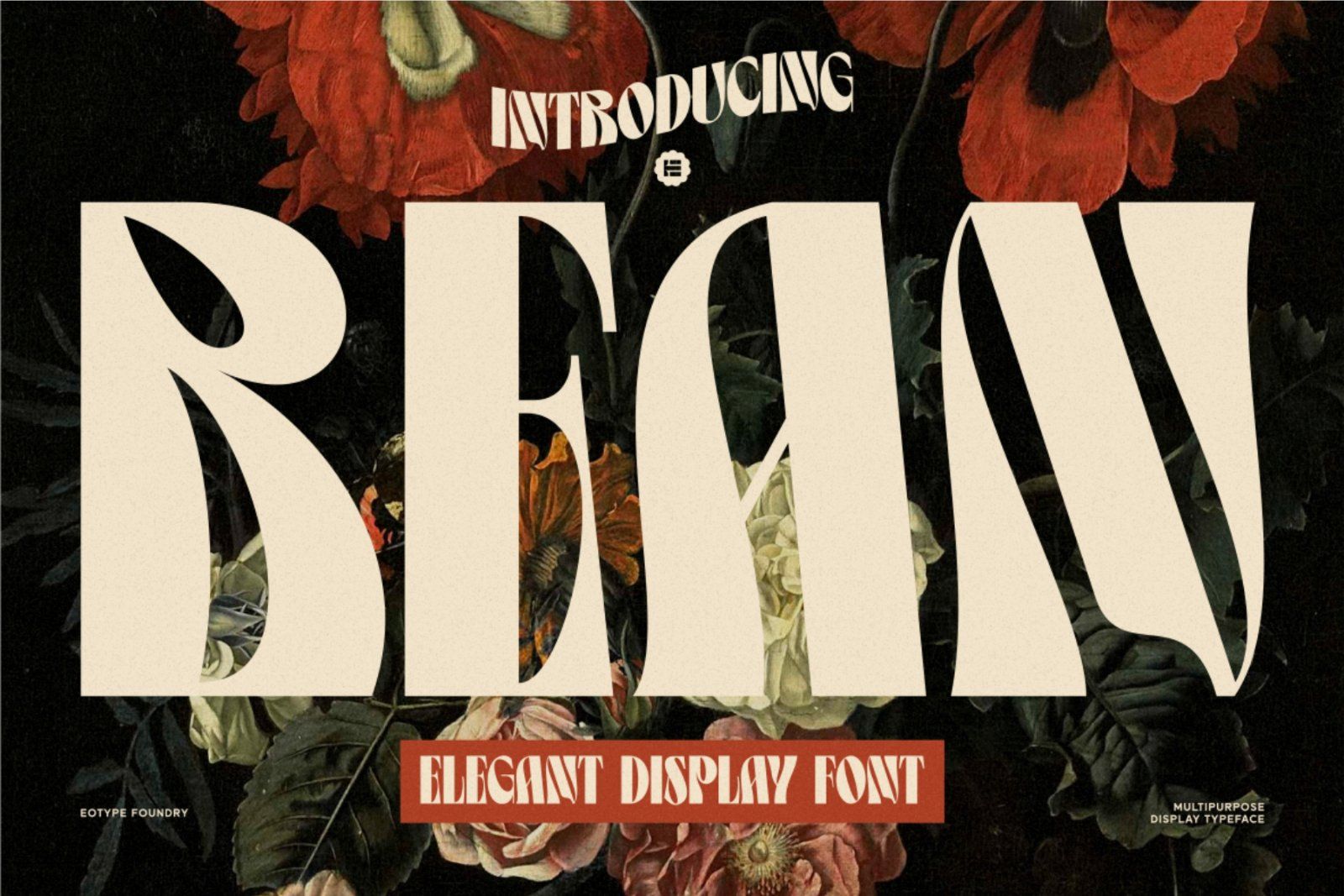 Bean - Display Font — image 1