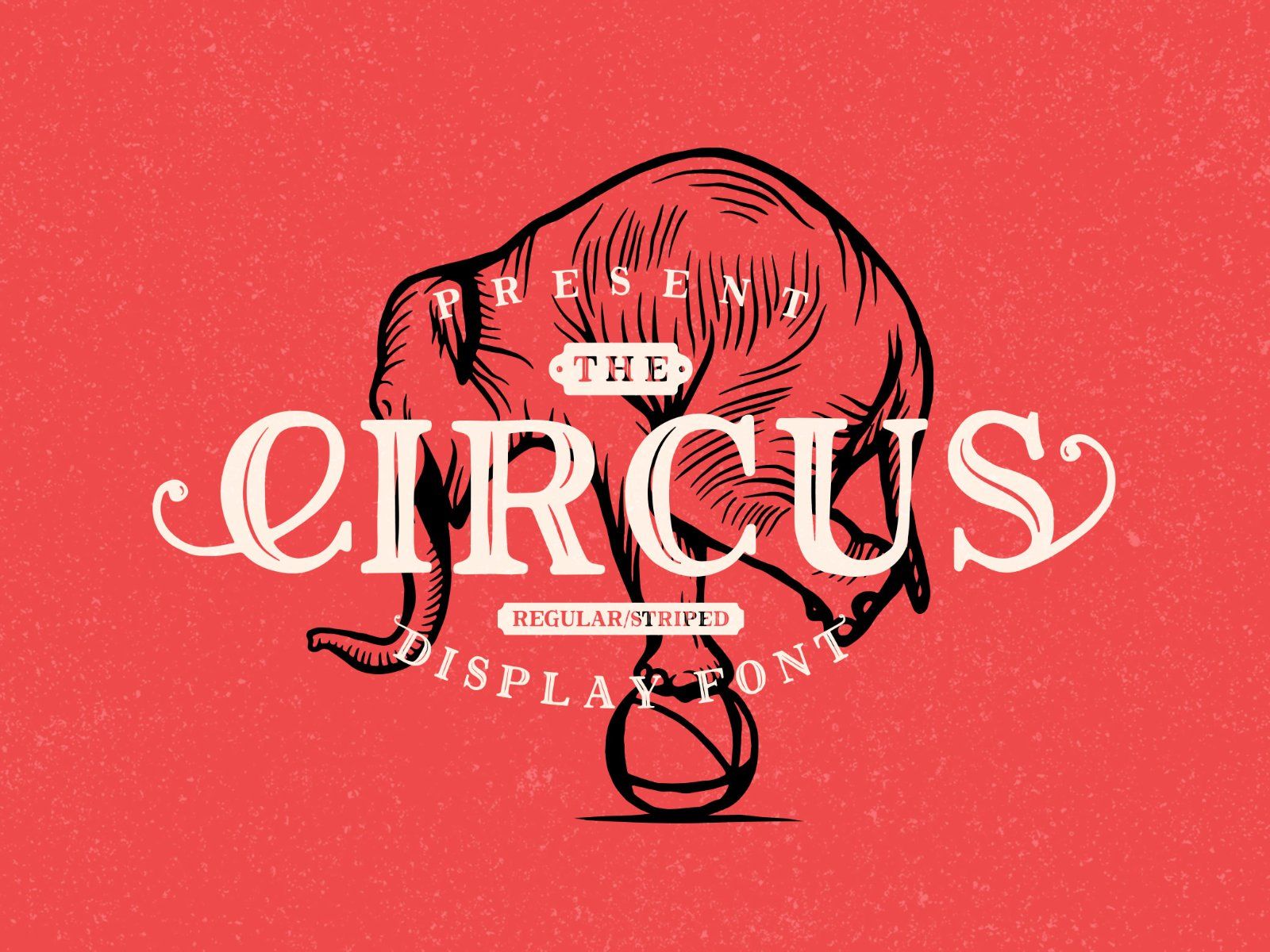 The Circus Display Font — image 1