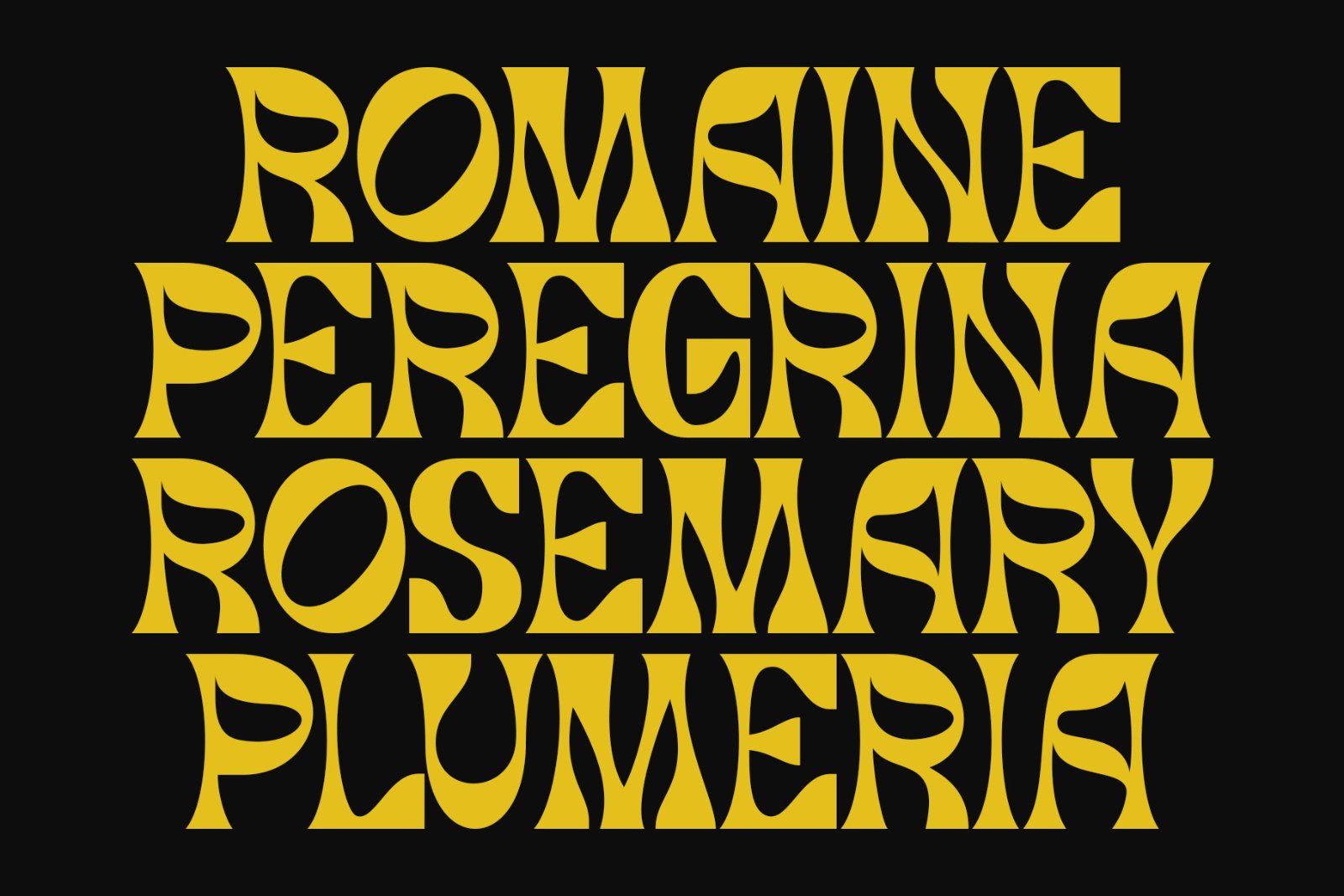 Asher | Modern Display Typeface — image 2