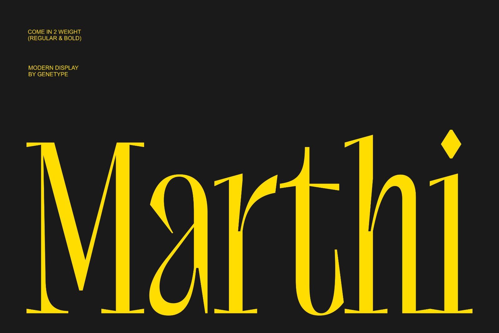 Marthi Display Serif Font — image 9