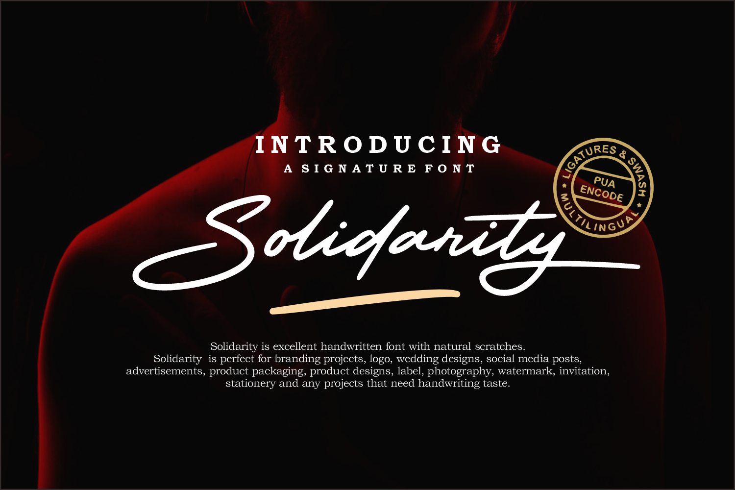 Solidarity — image 1