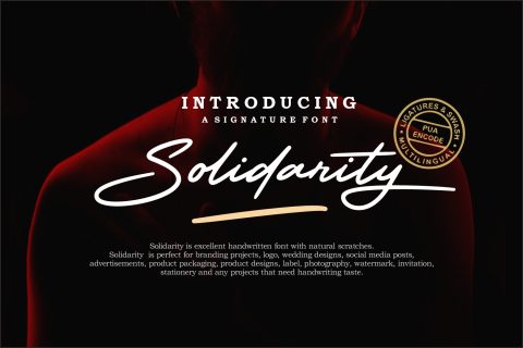 Solidarity