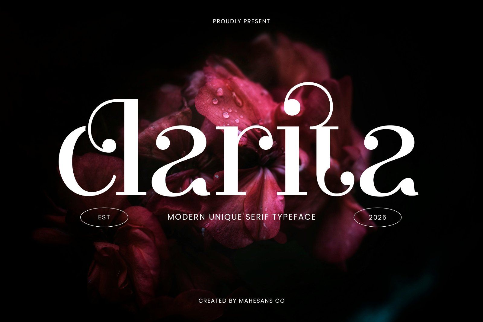 Clarita | Modern Unique Serif — image 1