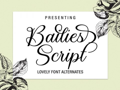Bailies Script