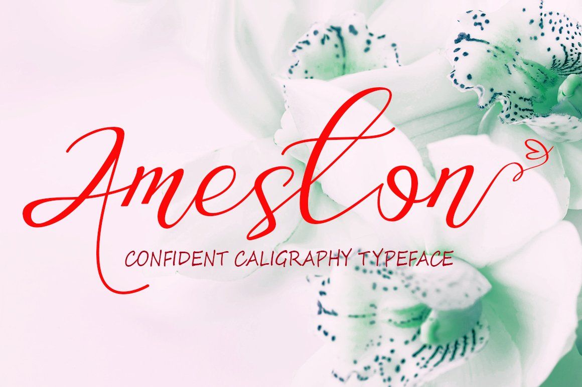 Ameston — image 1