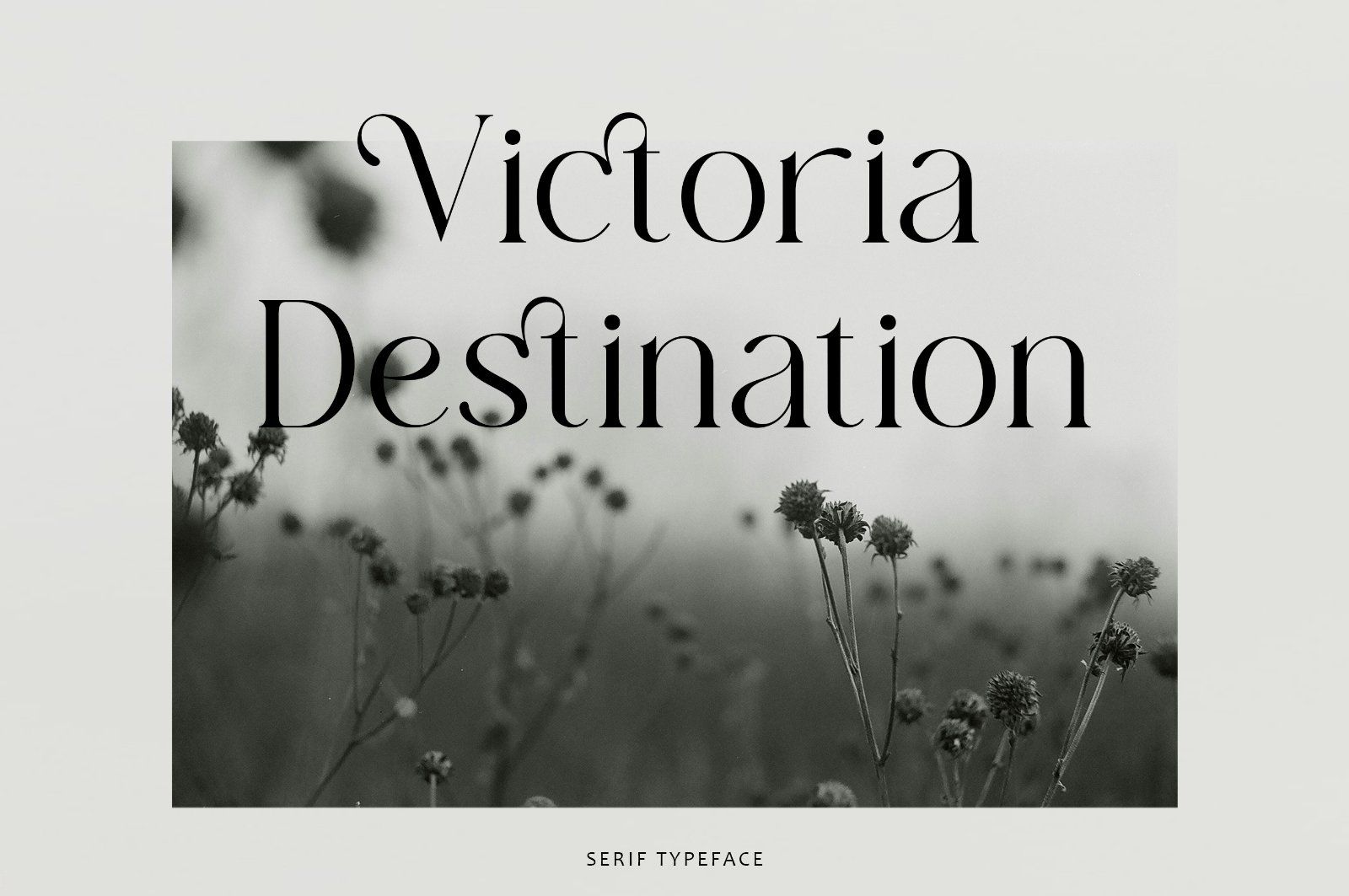 Manolisa - Elegant Serif Font — image 3