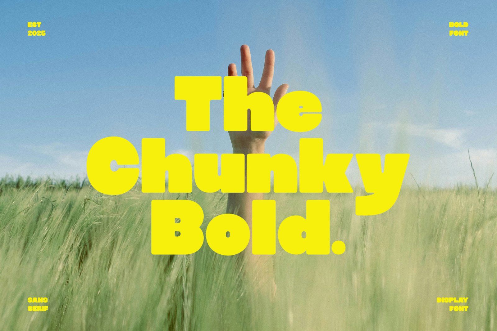 Sugra | Bold Display Sans Serif Font — image 4