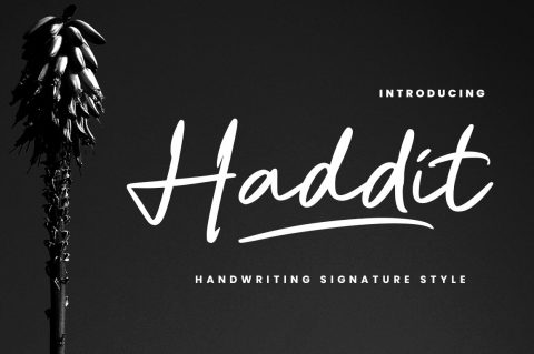 Haddit