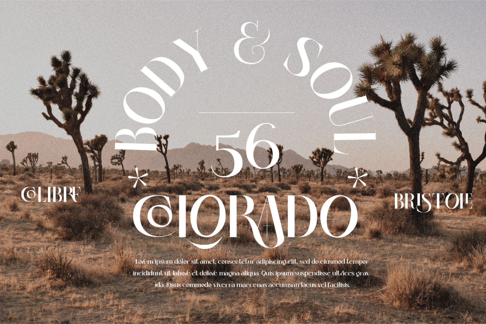 Colibre Bristole Pro | Serif Font — image 10