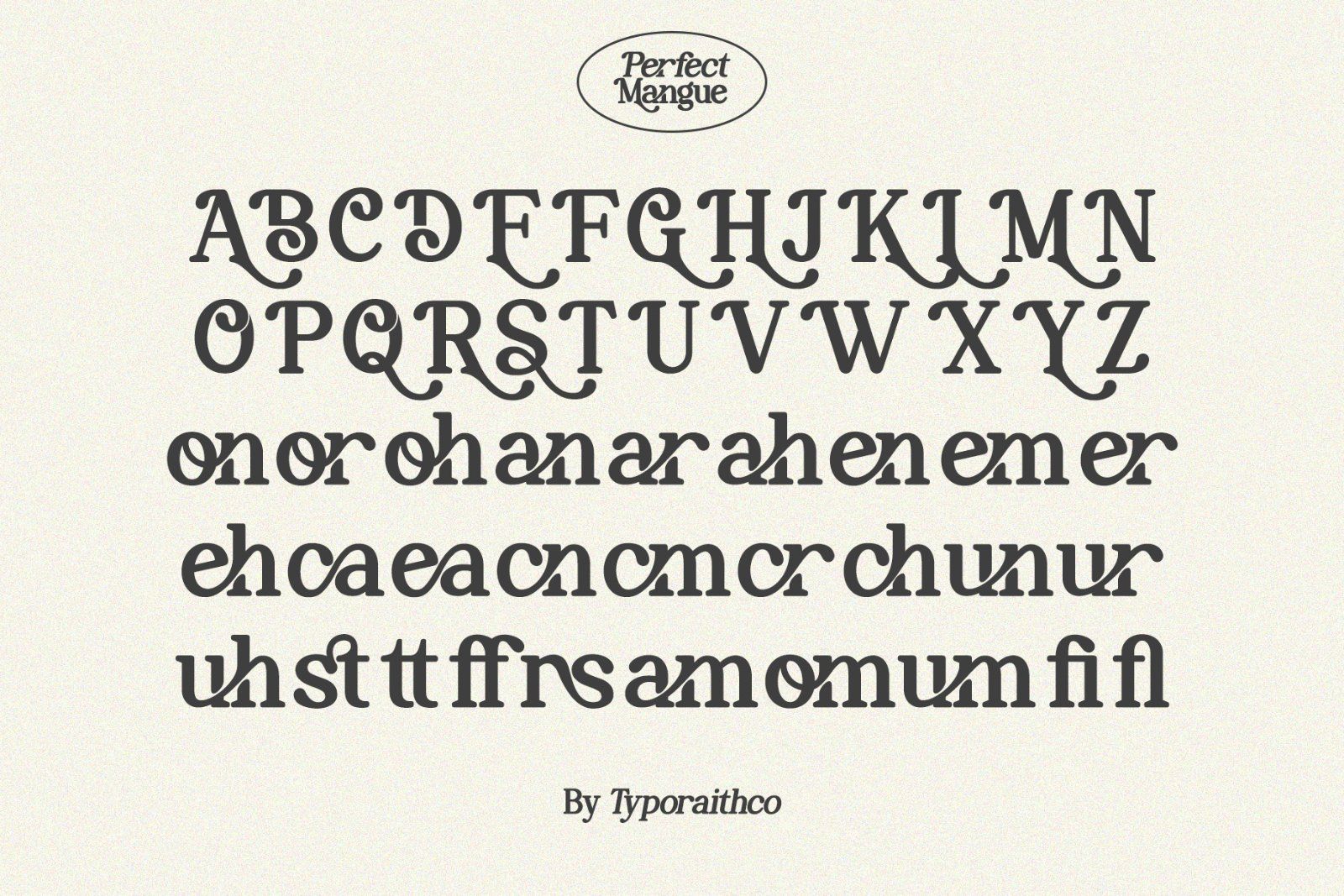 Perfect Mangue | Serif Duo Font — image 10