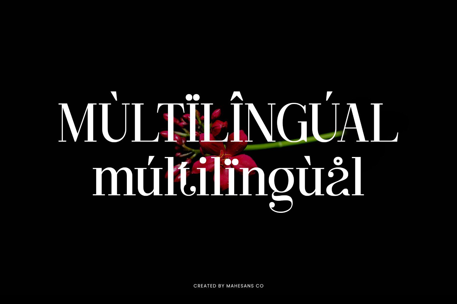 Clarita | Modern Unique Serif — image 10