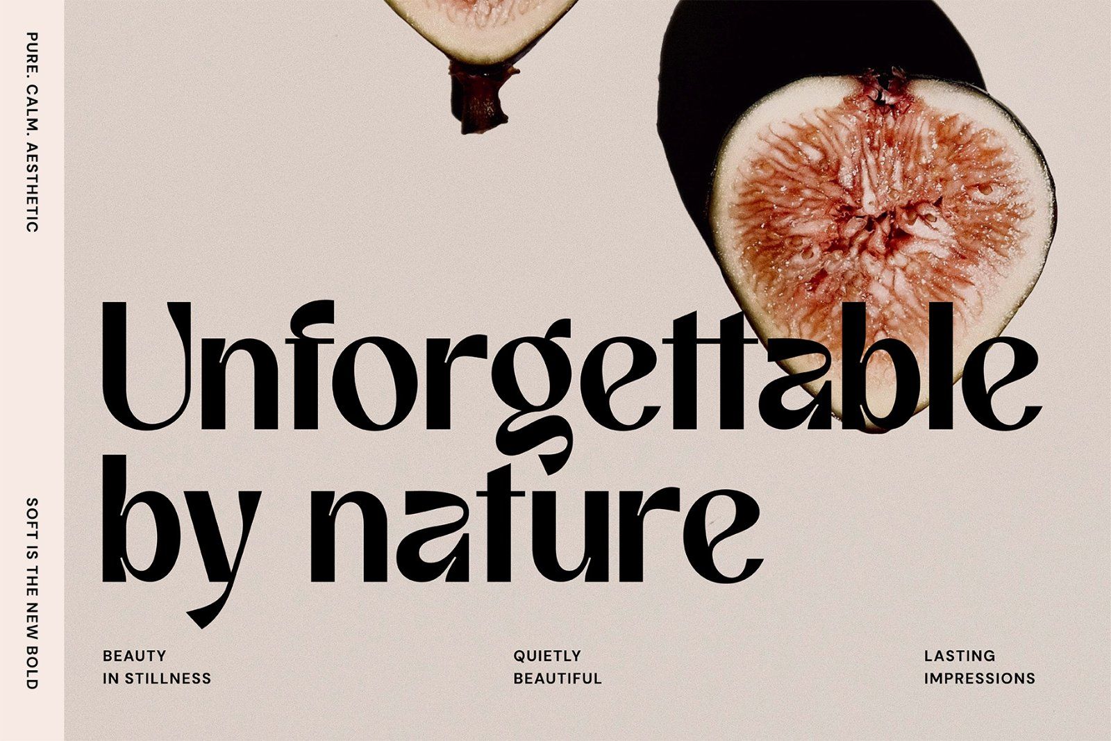 Affigue | Modern Clean Sans Serif — image 4