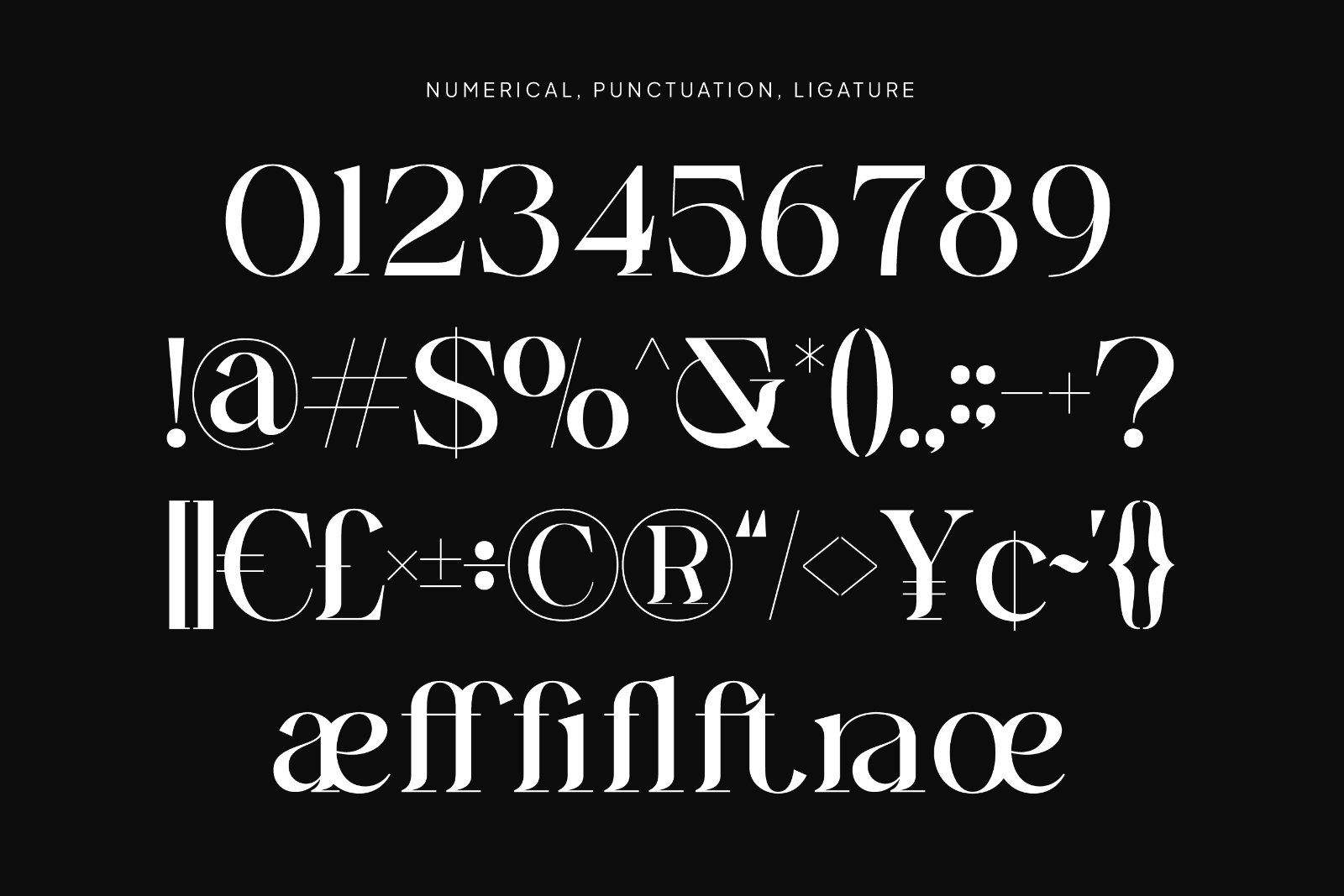 Ginka Voraxe – Modern Stylish Serif — image 10