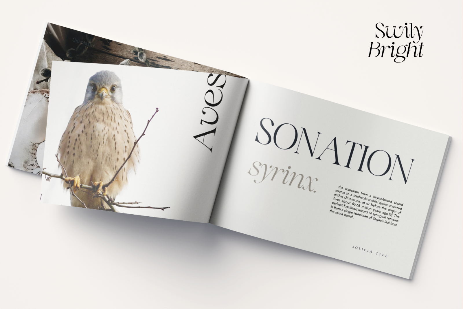 Swily Bright | Classy Font — image 11