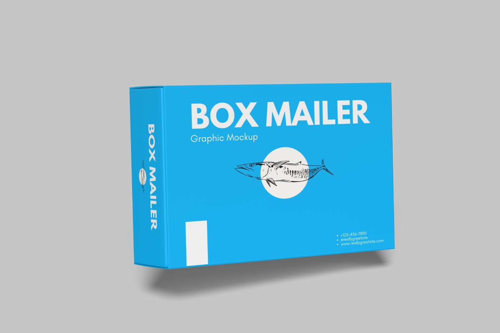Mailer Box Mockup — image 10