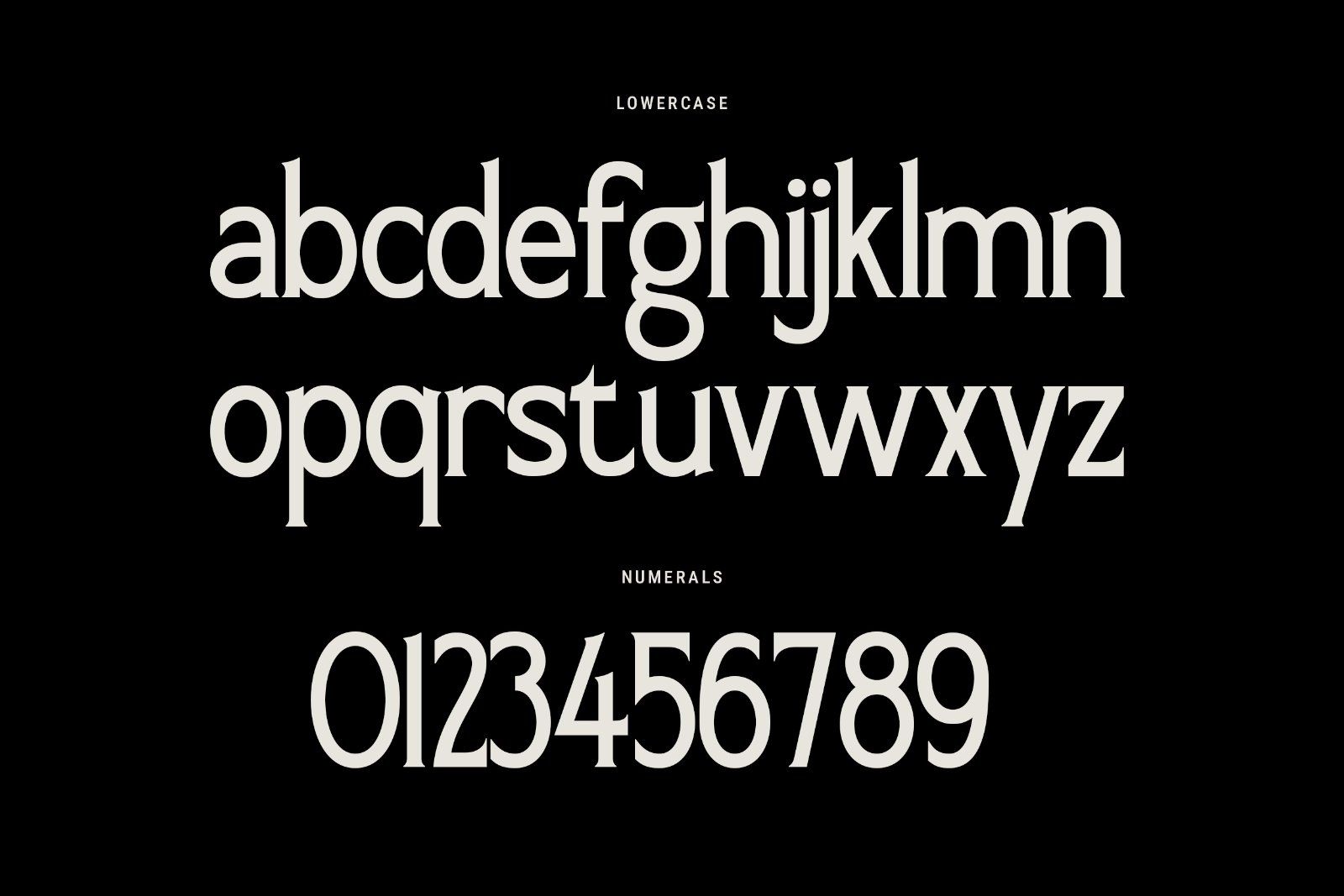 Elanche – Classic Editorial Serif — image 10