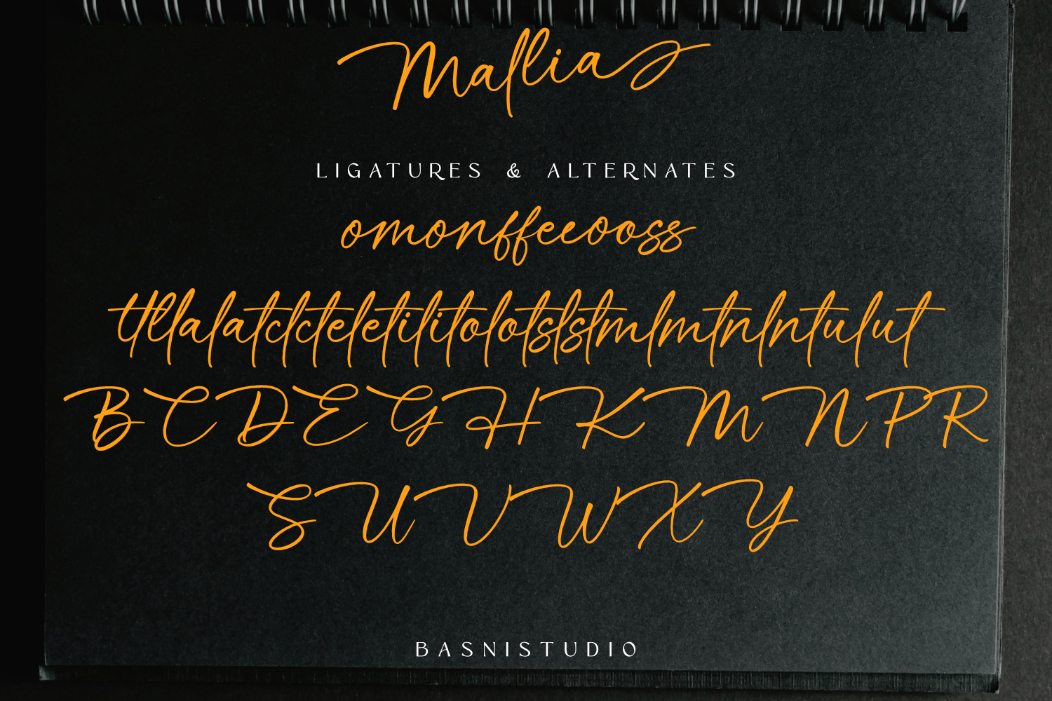 Mallia Handwritten FOnt — image 10