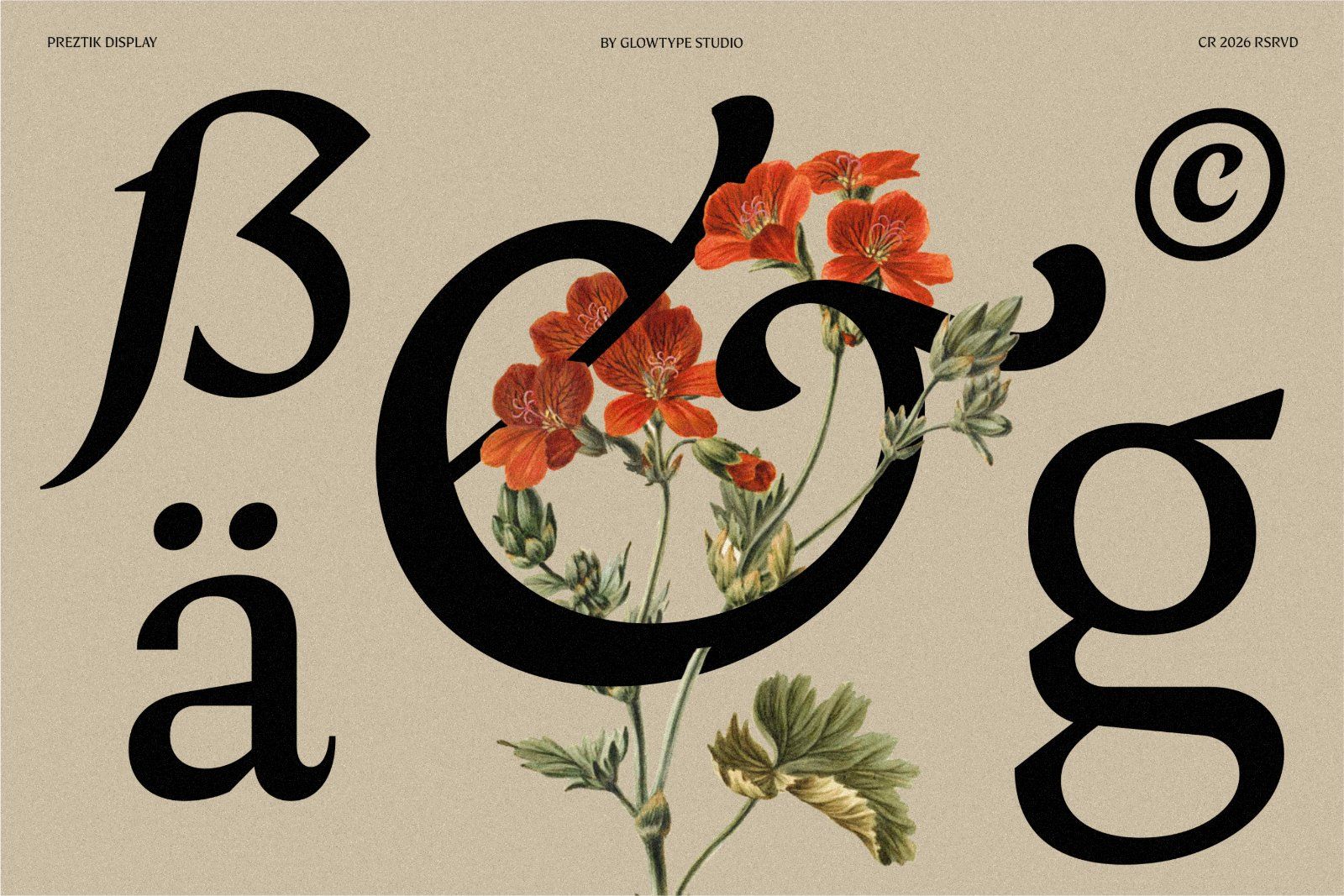 Preztik Display Typeface — image 10