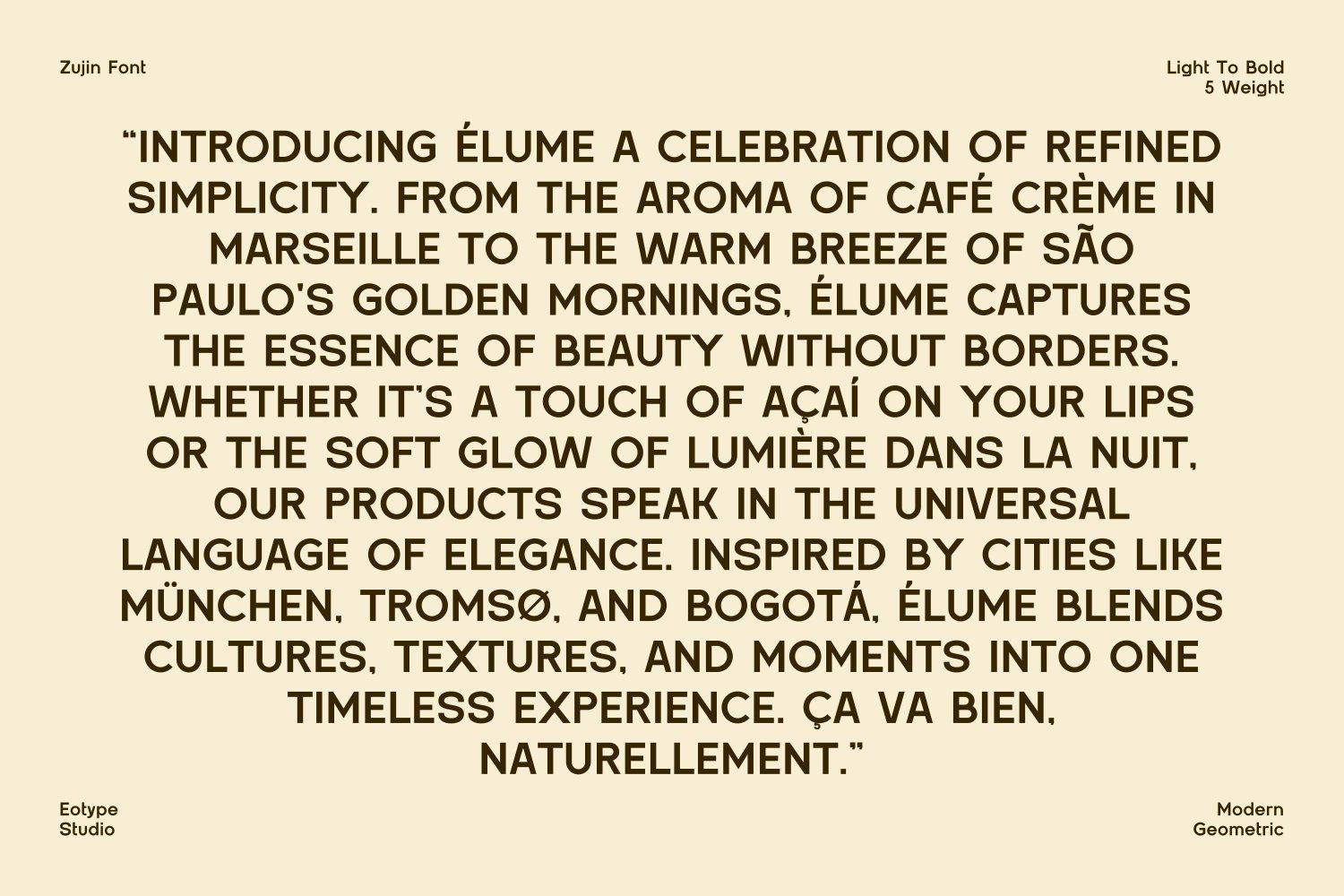 Zujin Five Weights Font — image 11