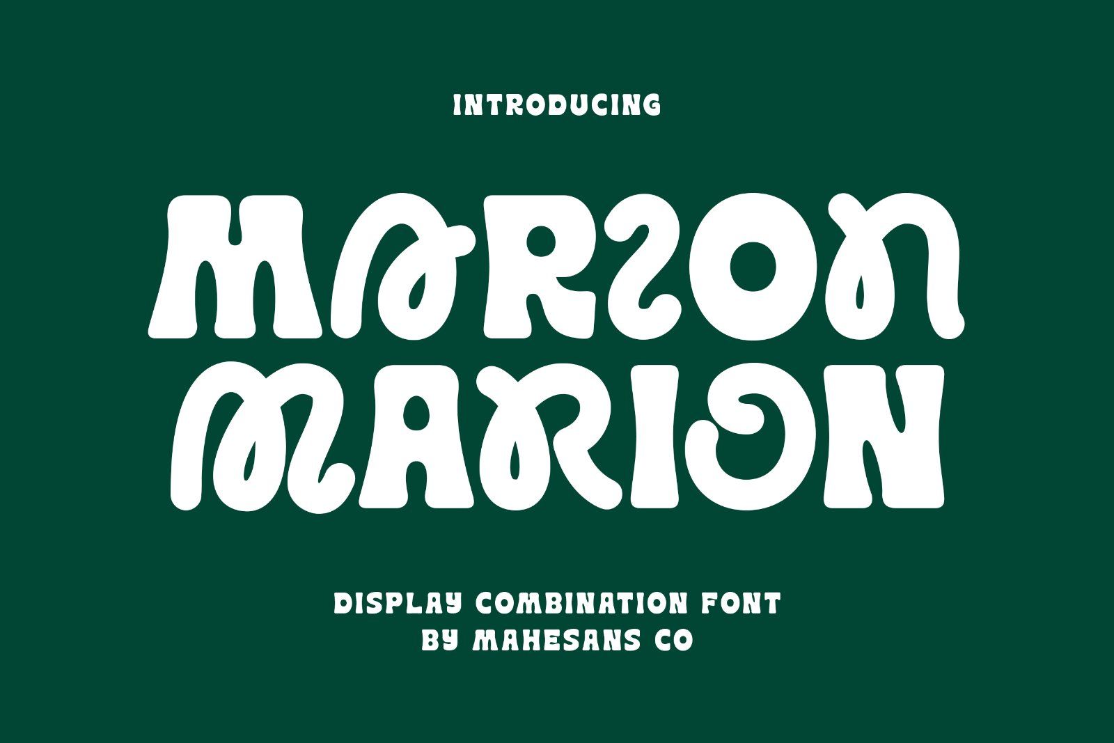 Marion - Display Combination Font — image 11