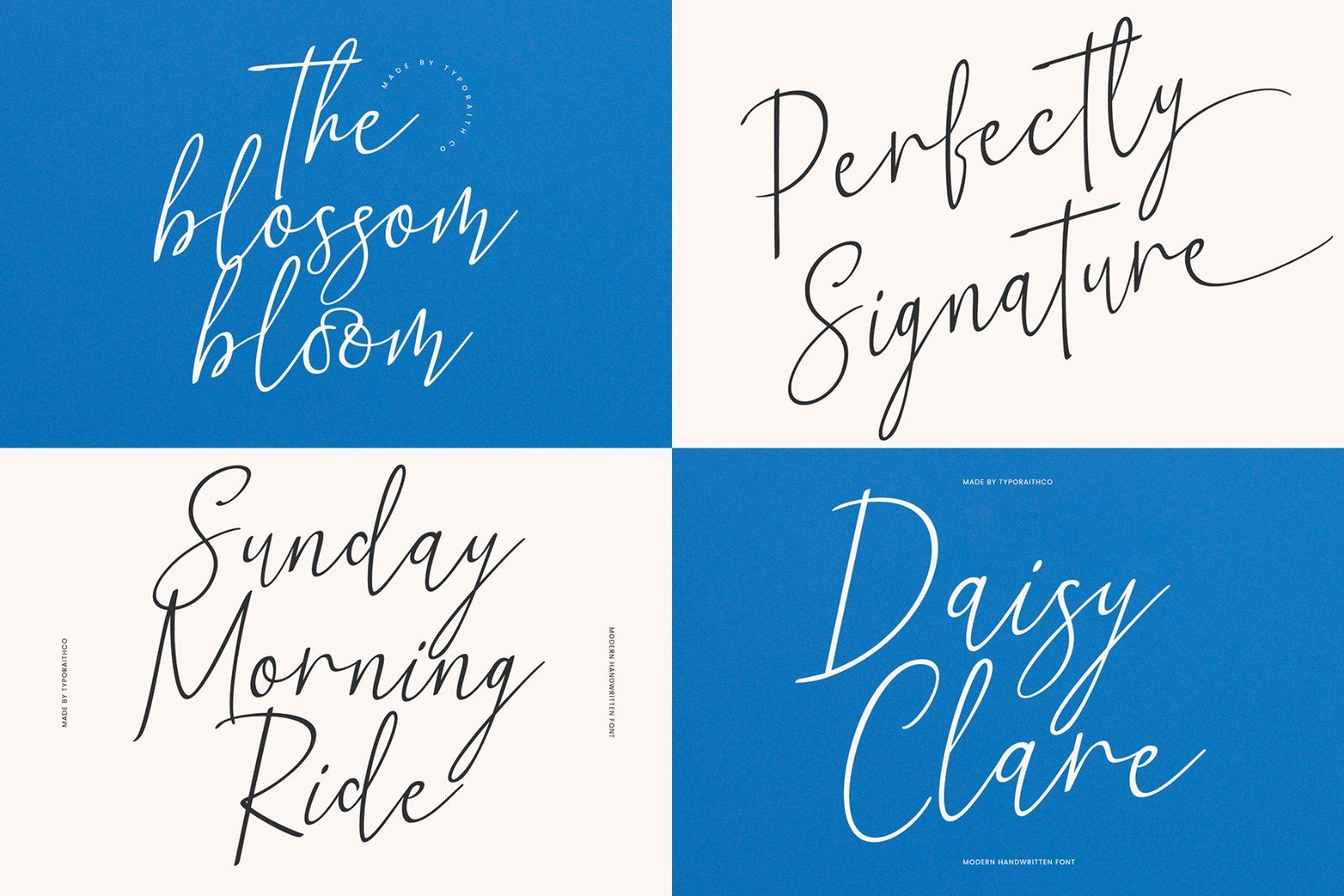 Modern Serif & Script Font Bundle — image 13